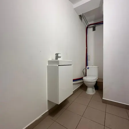 Corgi * Gdańsk